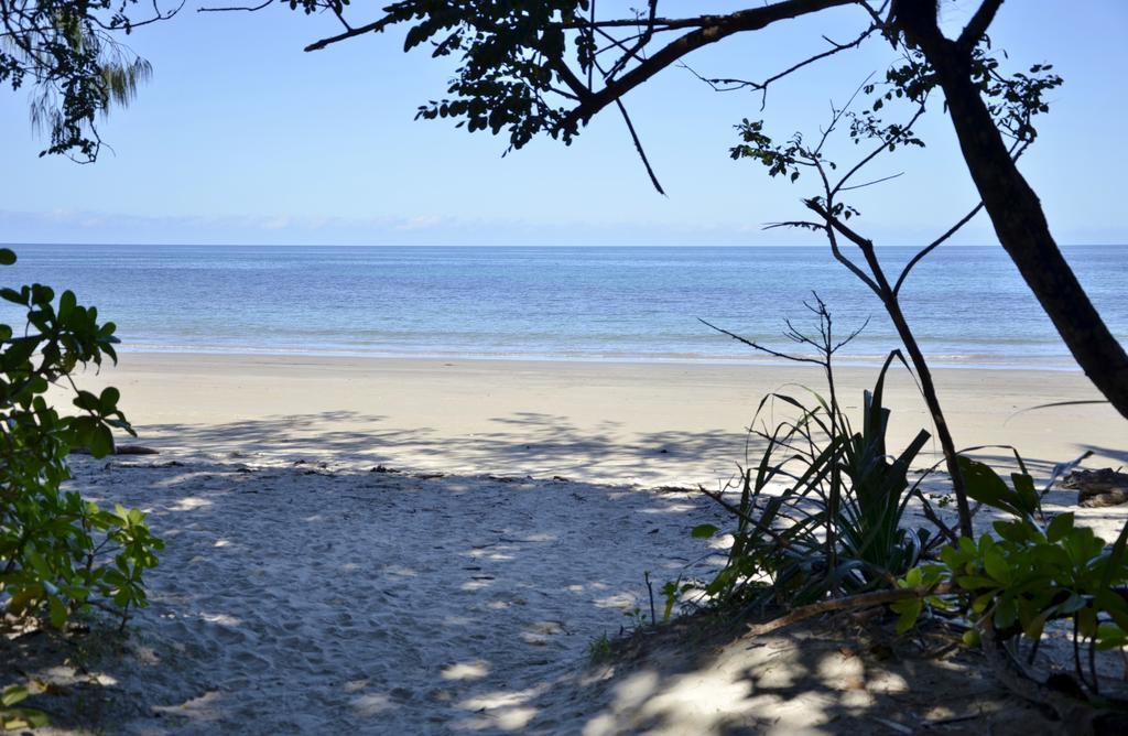 Pk'S Jungle Village Cape Tribulation Exterior foto
