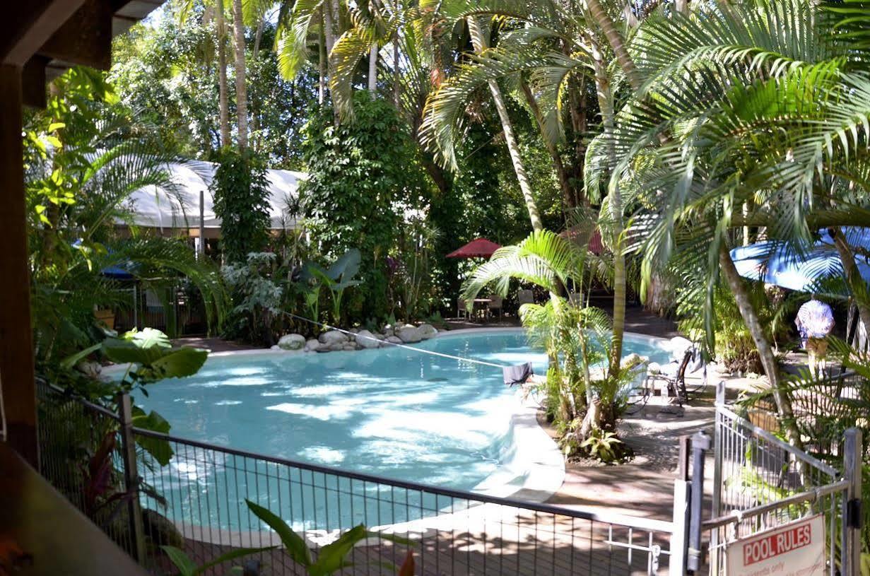Pk'S Jungle Village Cape Tribulation Exterior foto